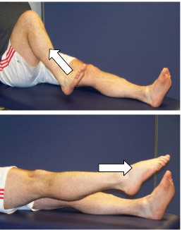 Triple-Flexion